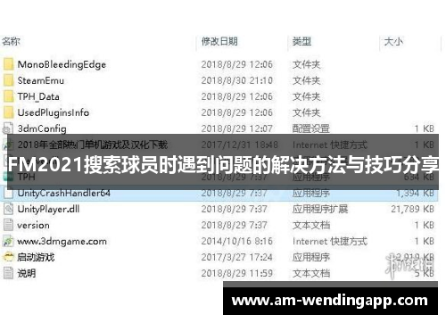 FM2021搜索球员时遇到问题的解决方法与技巧分享