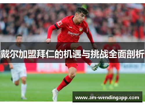 戴尔加盟拜仁的机遇与挑战全面剖析