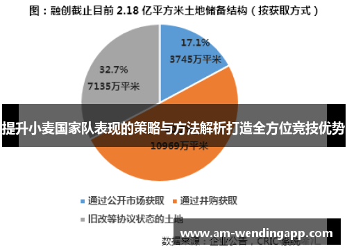 提升小麦国家队表现的策略与方法解析打造全方位竞技优势