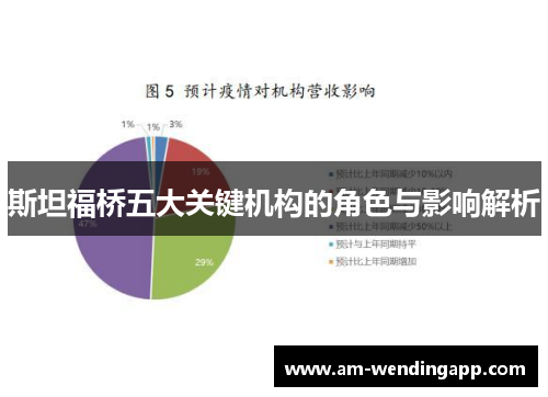 斯坦福桥五大关键机构的角色与影响解析