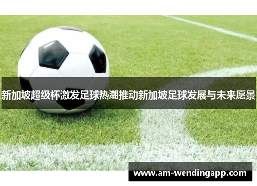 新加坡超级杯激发足球热潮推动新加坡足球发展与未来愿景