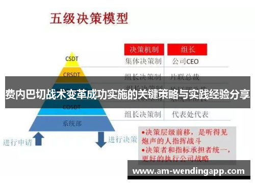 费内巴切战术变革成功实施的关键策略与实践经验分享