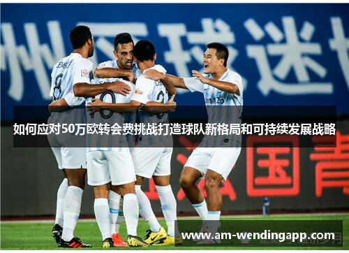 如何应对50万欧转会费挑战打造球队新格局和可持续发展战略