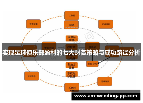 实现足球俱乐部盈利的七大财务策略与成功路径分析