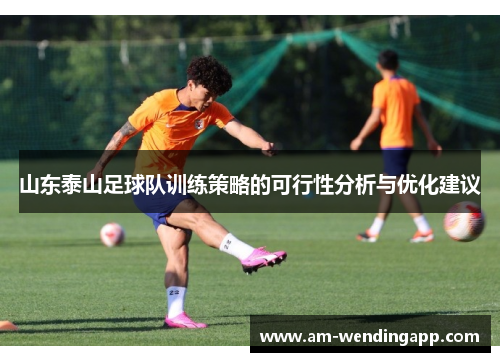 山东泰山足球队训练策略的可行性分析与优化建议