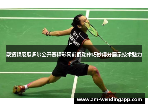 戴资颖厄瓜多尔公开赛精彩网前假动作巧妙得分展示技术魅力