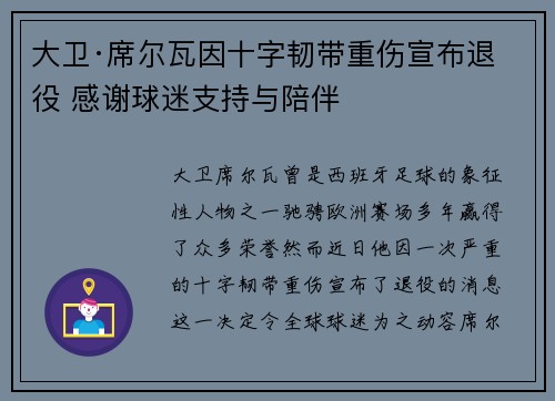 大卫·席尔瓦因十字韧带重伤宣布退役 感谢球迷支持与陪伴